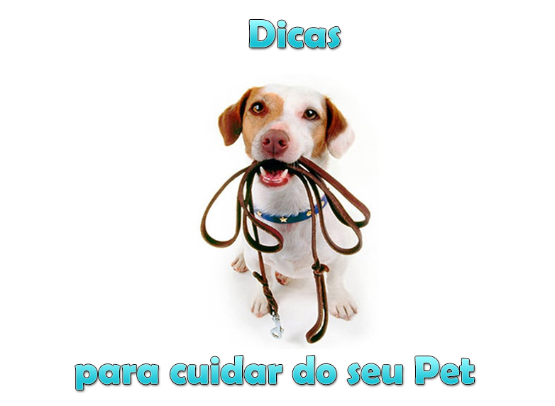 Notícias